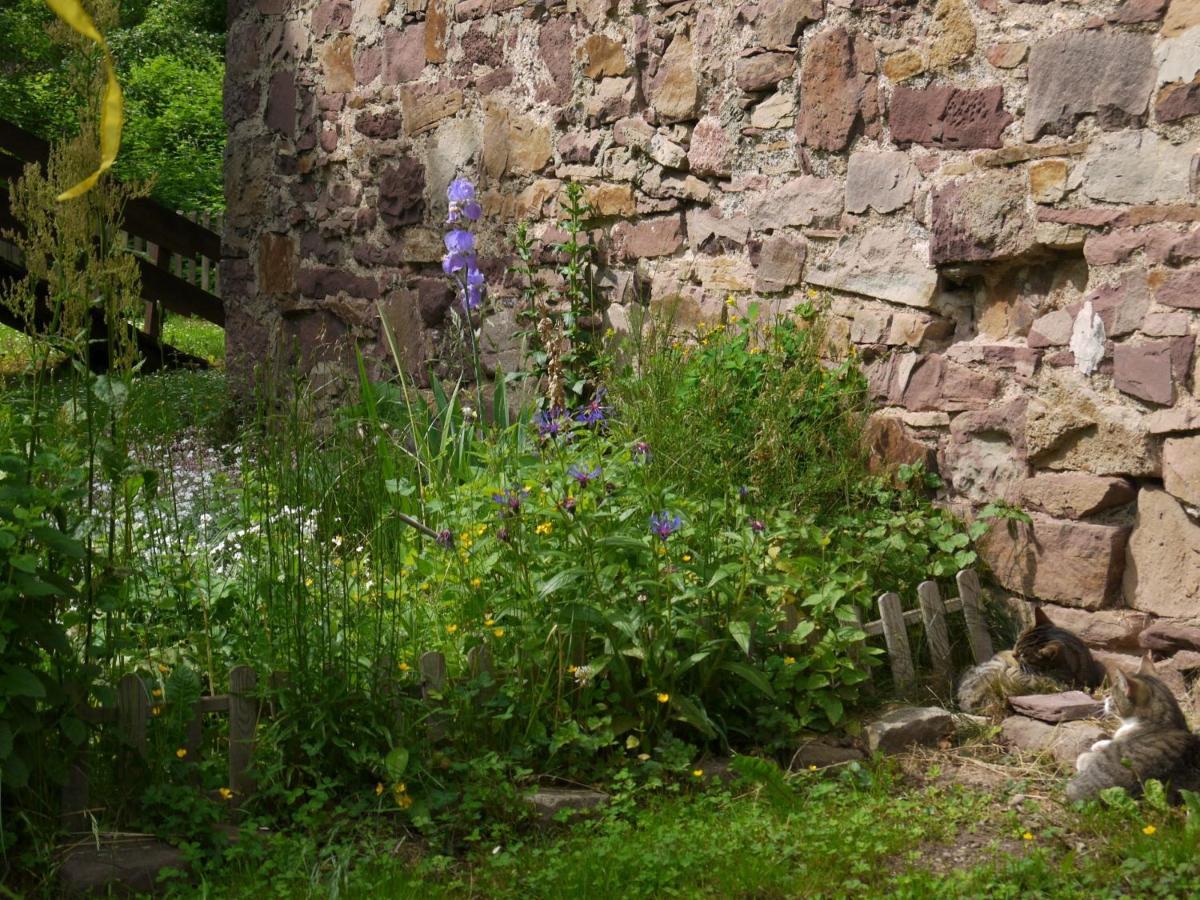 Ferienwohnungen am Campingplatz Trendelburg Exterior foto